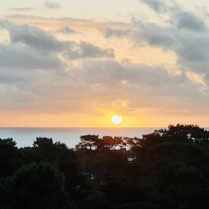 EN VENTA con renta. Apartamento de 1 dormitorio en Roosevelt, Punta del Este