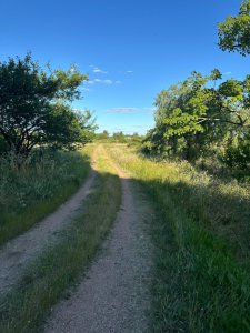 Chacra en Canelones, entre Sauce y Santa Rosa. 