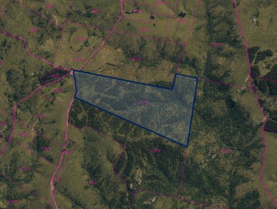 Campo Ganadero y Forestal en Lavalleja 