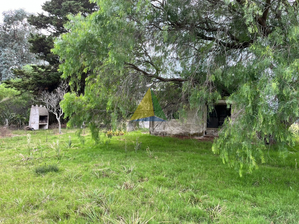 Zona Rural - GoPunta - Portal Inmobiliario de Punta del Este - Maldonado