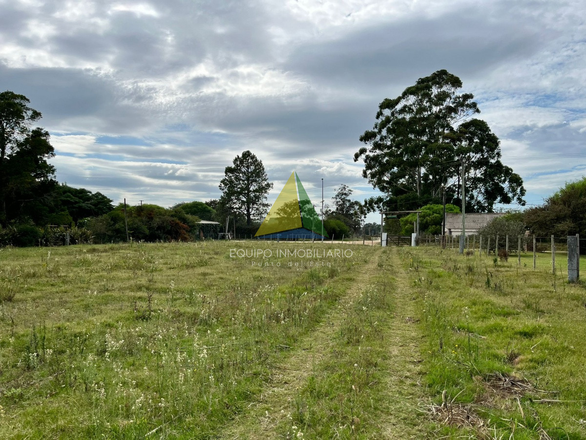 Zona Rural - GoPunta - Portal Inmobiliario de Punta del Este - Maldonado