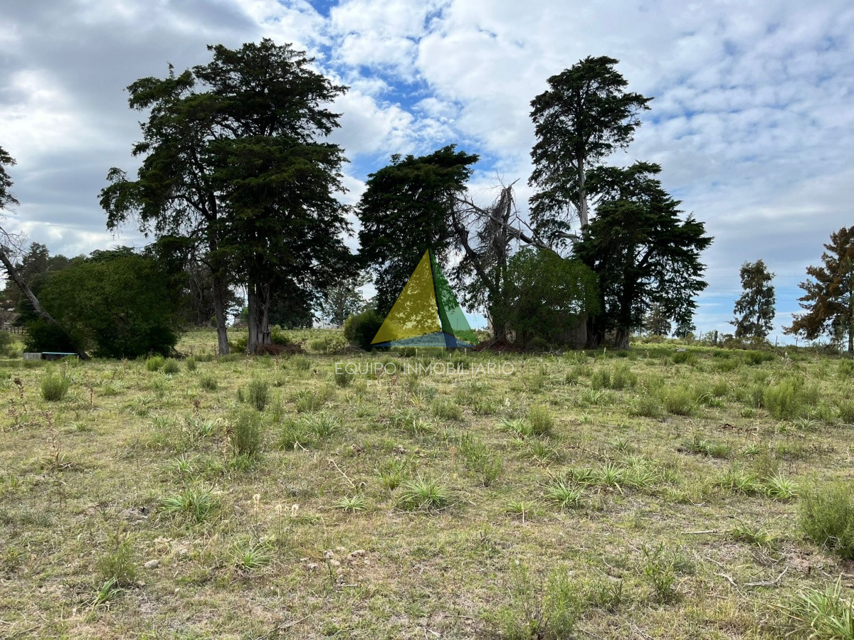 Zona Rural - GoPunta - Portal Inmobiliario de Punta del Este - Maldonado