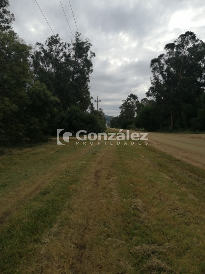 Punta Negra - GoPunta - Portal Inmobiliario de Punta del Este - Maldonado