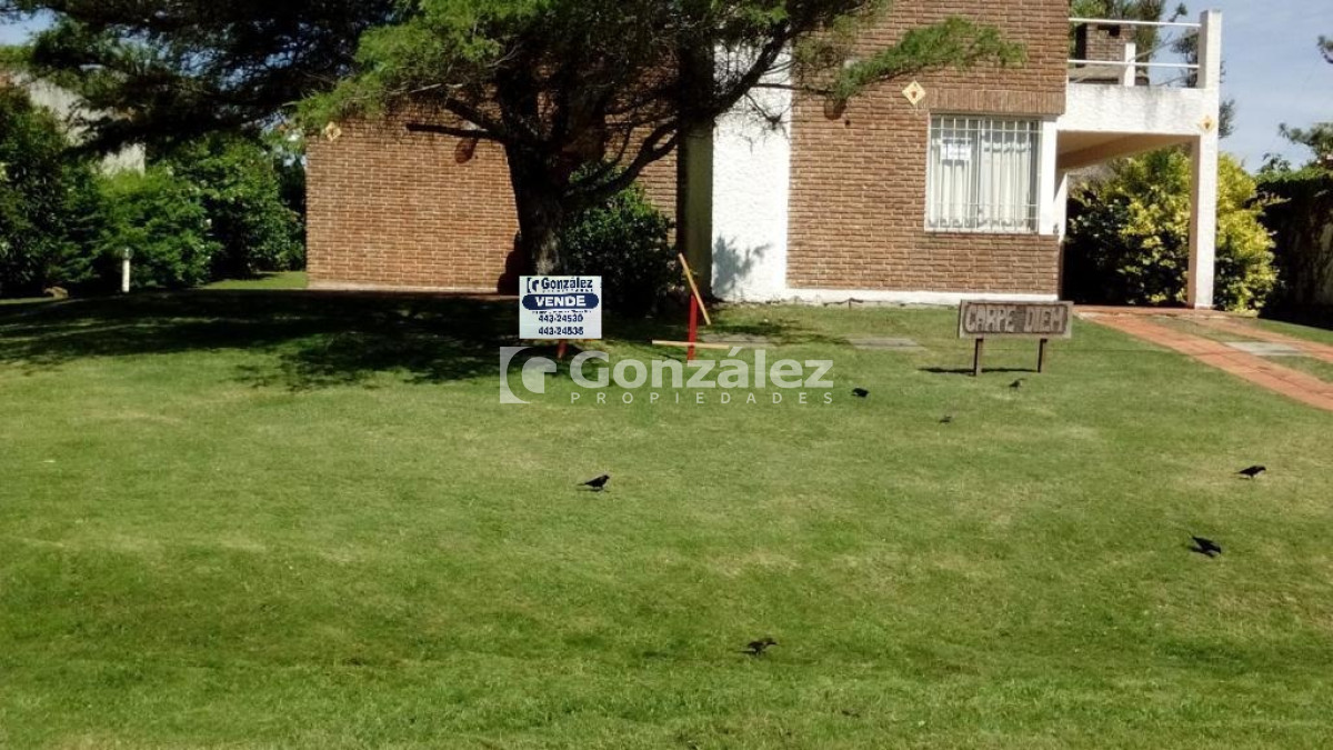 San Francisco - GoPunta - Portal Inmobiliario de Punta del Este - Maldonado