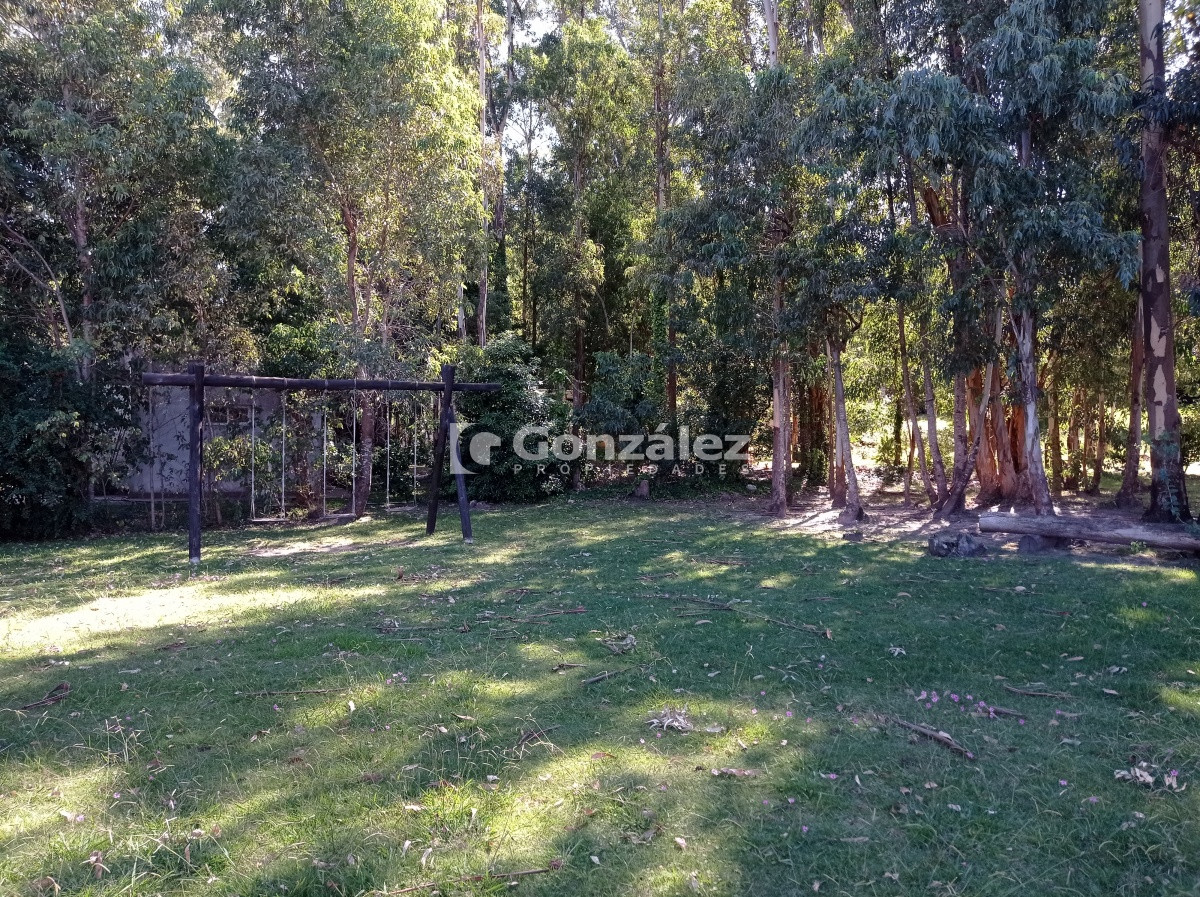Bella Vista - GoPunta - Portal Inmobiliario de Punta del Este - Maldonado
