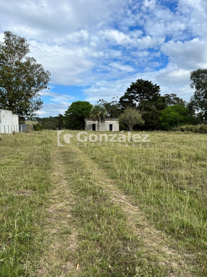 Zona Rural - GoPunta - Portal Inmobiliario de Punta del Este - Maldonado