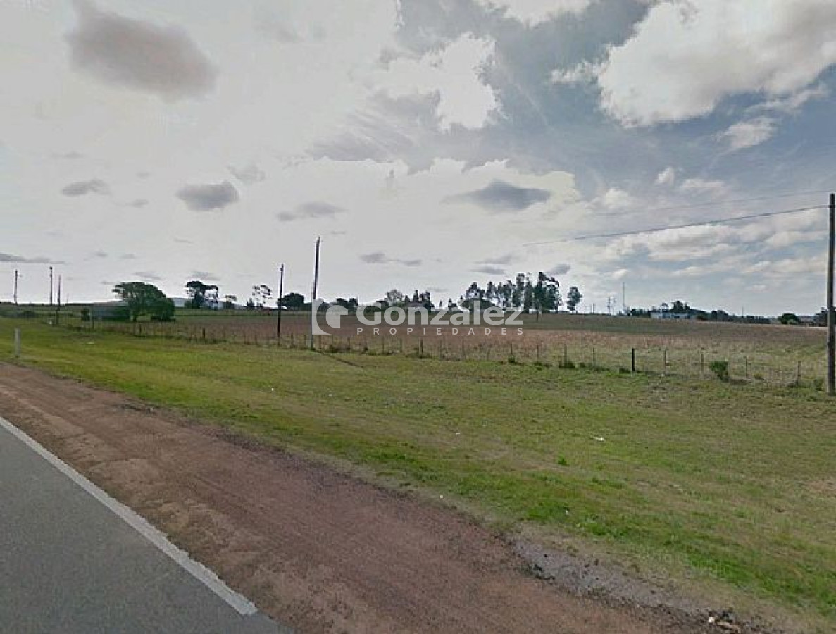 Ruta 9 - GoPunta - Portal Inmobiliario de Punta del Este - Maldonado