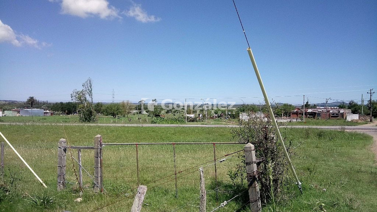 Ruta 9 - GoPunta - Portal Inmobiliario de Punta del Este - Maldonado