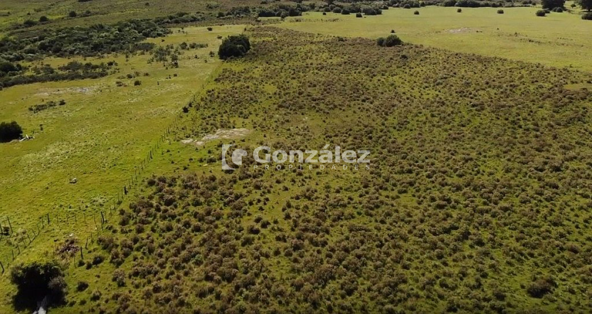 Ruta Interbalnearia - GoPunta - Portal Inmobiliario de Punta del Este - Maldonado