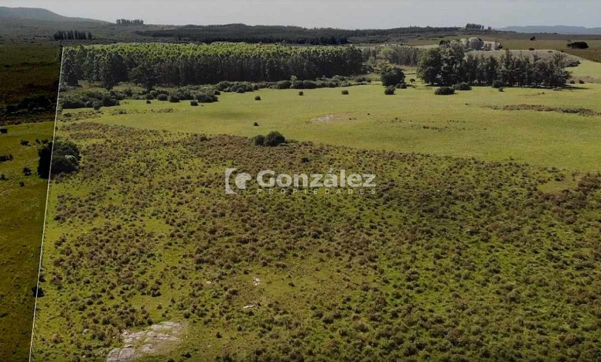 Ruta Interbalnearia - GoPunta - Portal Inmobiliario de Punta del Este - Maldonado