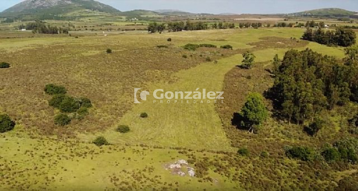 Ruta Interbalnearia - GoPunta - Portal Inmobiliario de Punta del Este - Maldonado