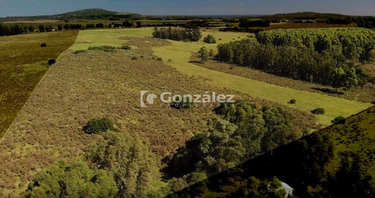 Ruta Interbalnearia - GoPunta - Portal Inmobiliario de Punta del Este - Maldonado