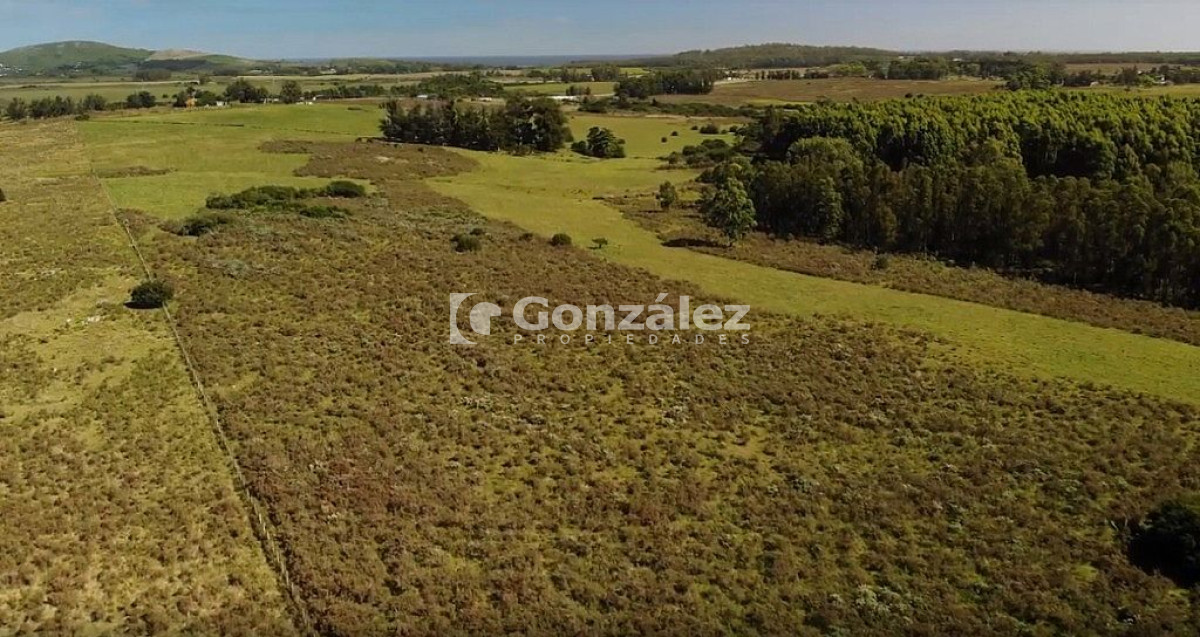 Ruta Interbalnearia - GoPunta - Portal Inmobiliario de Punta del Este - Maldonado
