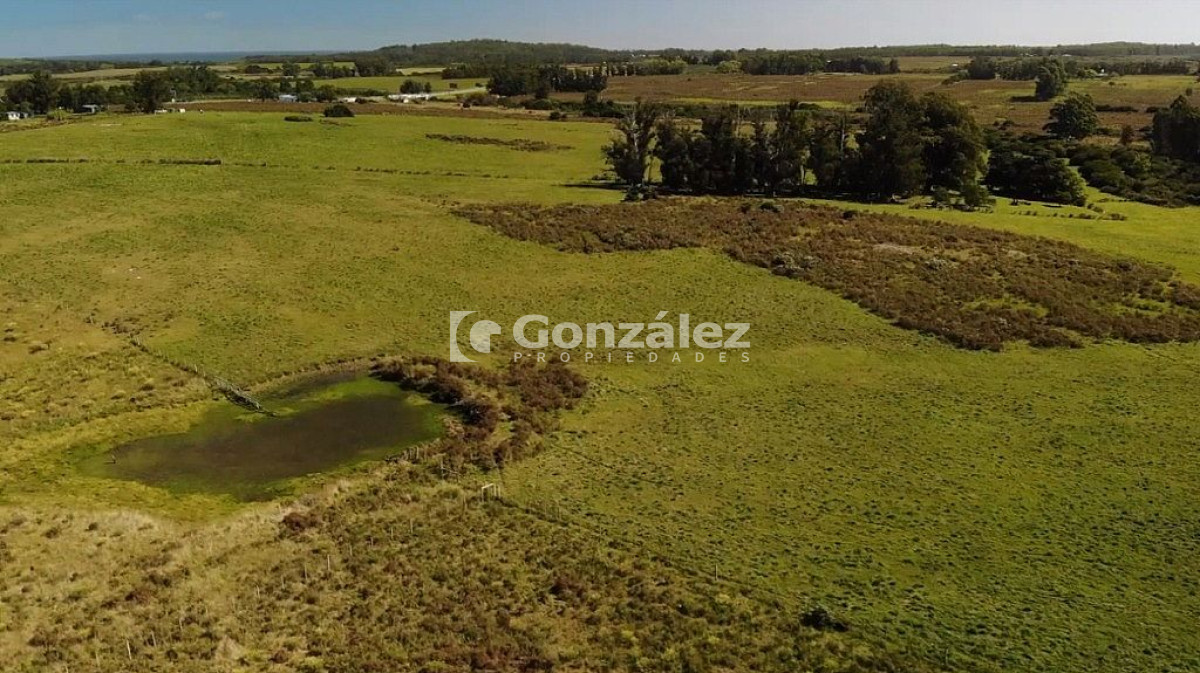 Ruta Interbalnearia - GoPunta - Portal Inmobiliario de Punta del Este - Maldonado