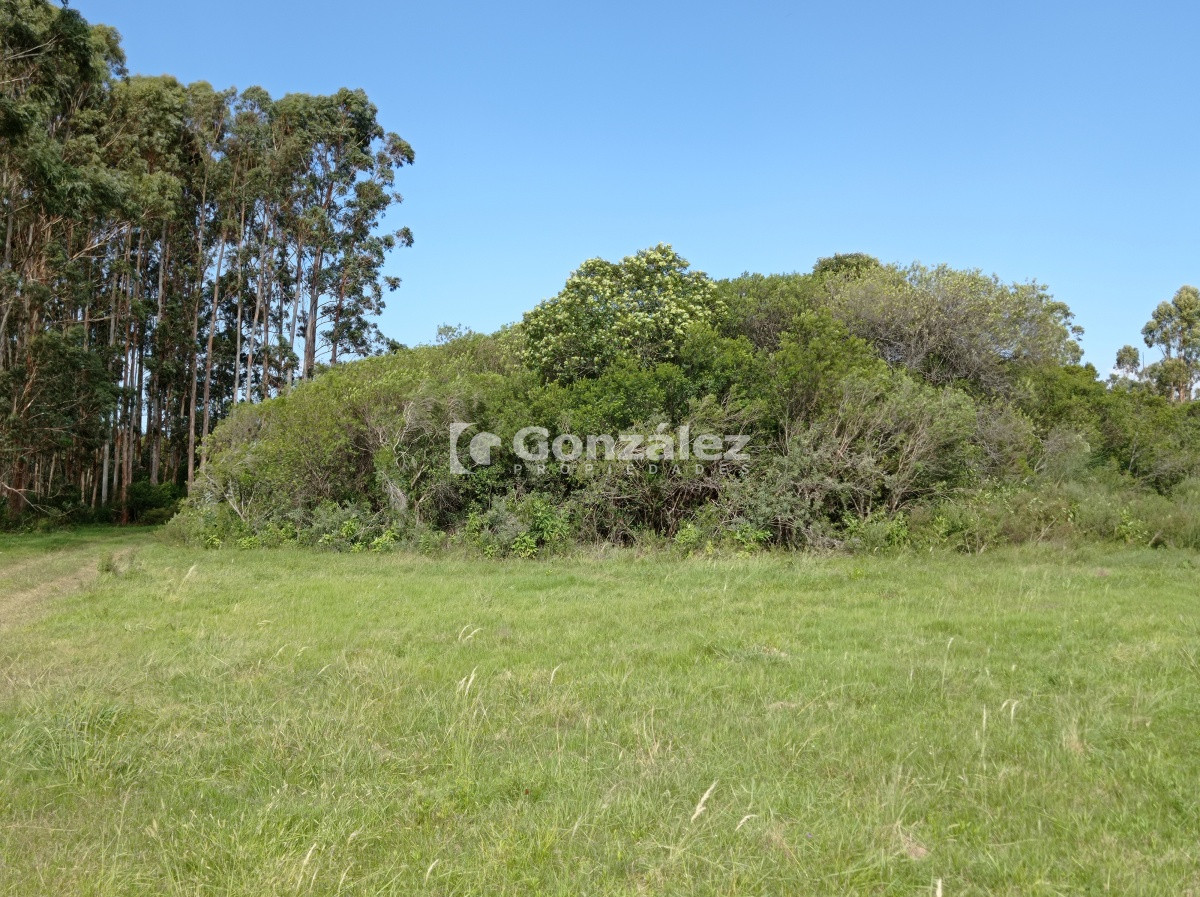 Cerros Azules - GoPunta - Portal Inmobiliario de Punta del Este - Maldonado