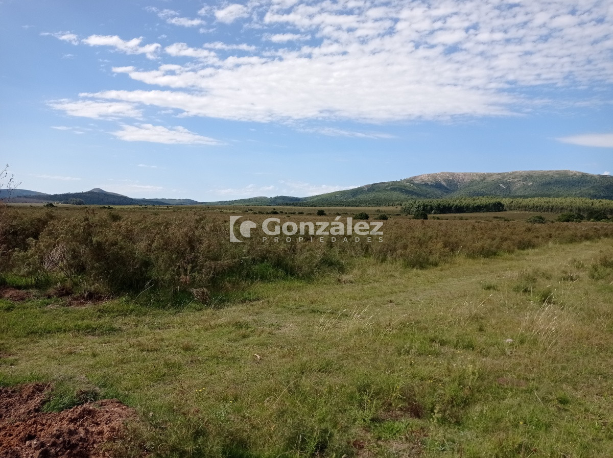 Cerros Azules - GoPunta - Portal Inmobiliario de Punta del Este - Maldonado