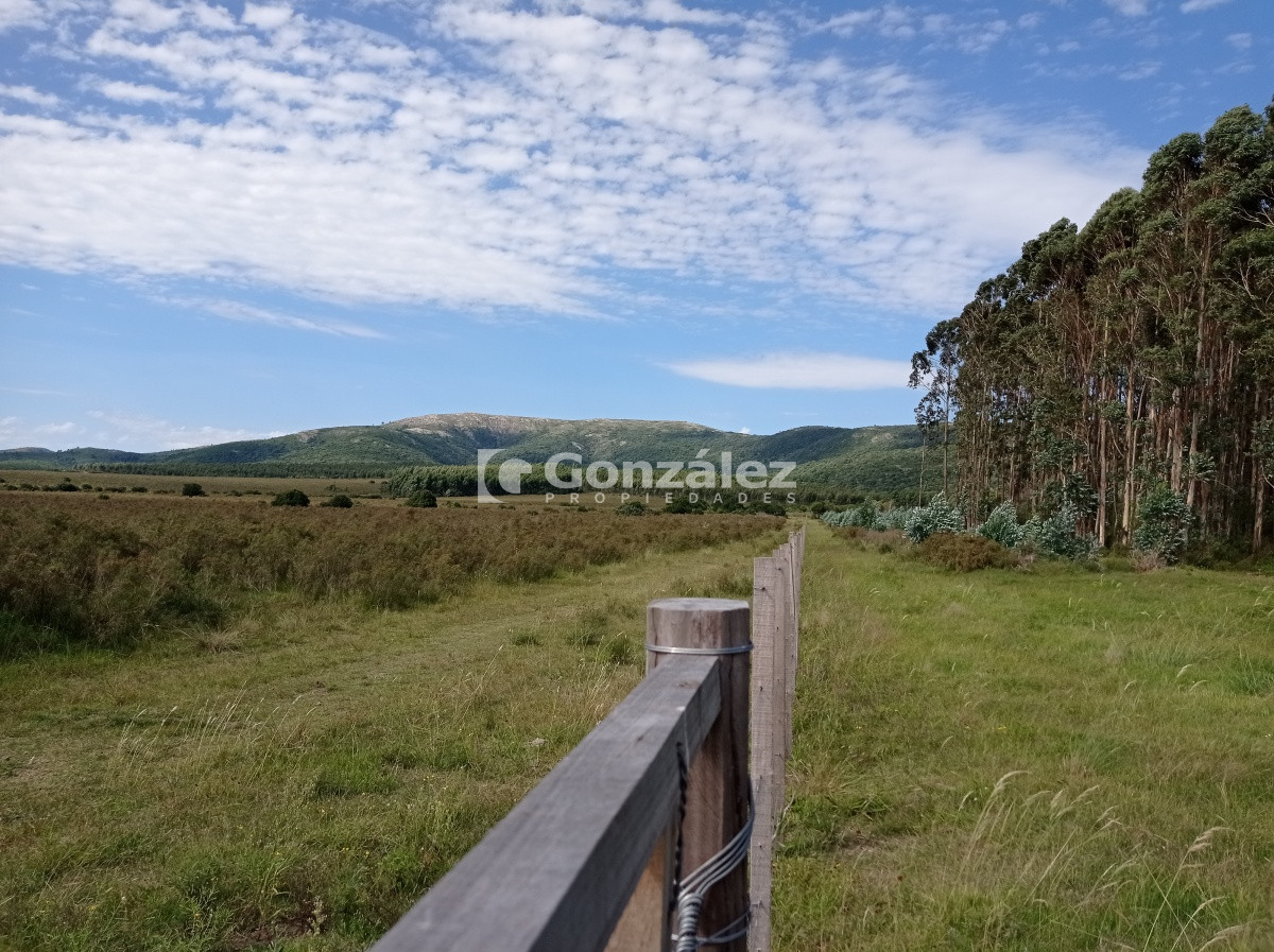Cerros Azules - GoPunta - Portal Inmobiliario de Punta del Este - Maldonado