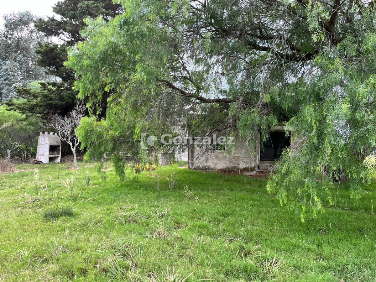 Zona Rural - GoPunta - Portal Inmobiliario de Punta del Este - Maldonado