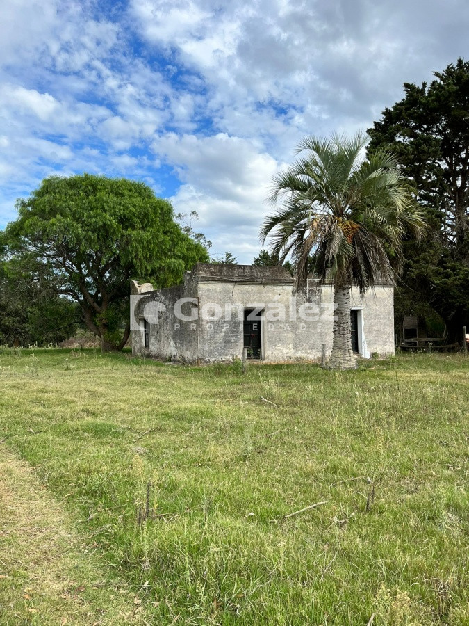 Zona Rural - GoPunta - Portal Inmobiliario de Punta del Este - Maldonado