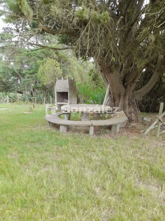Zona Rural - GoPunta - Portal Inmobiliario de Punta del Este - Maldonado