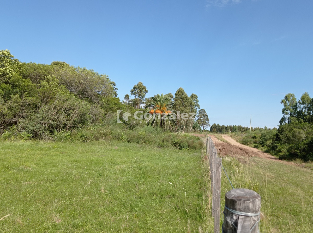 Cerros Azules - GoPunta - Portal Inmobiliario de Punta del Este - Maldonado
