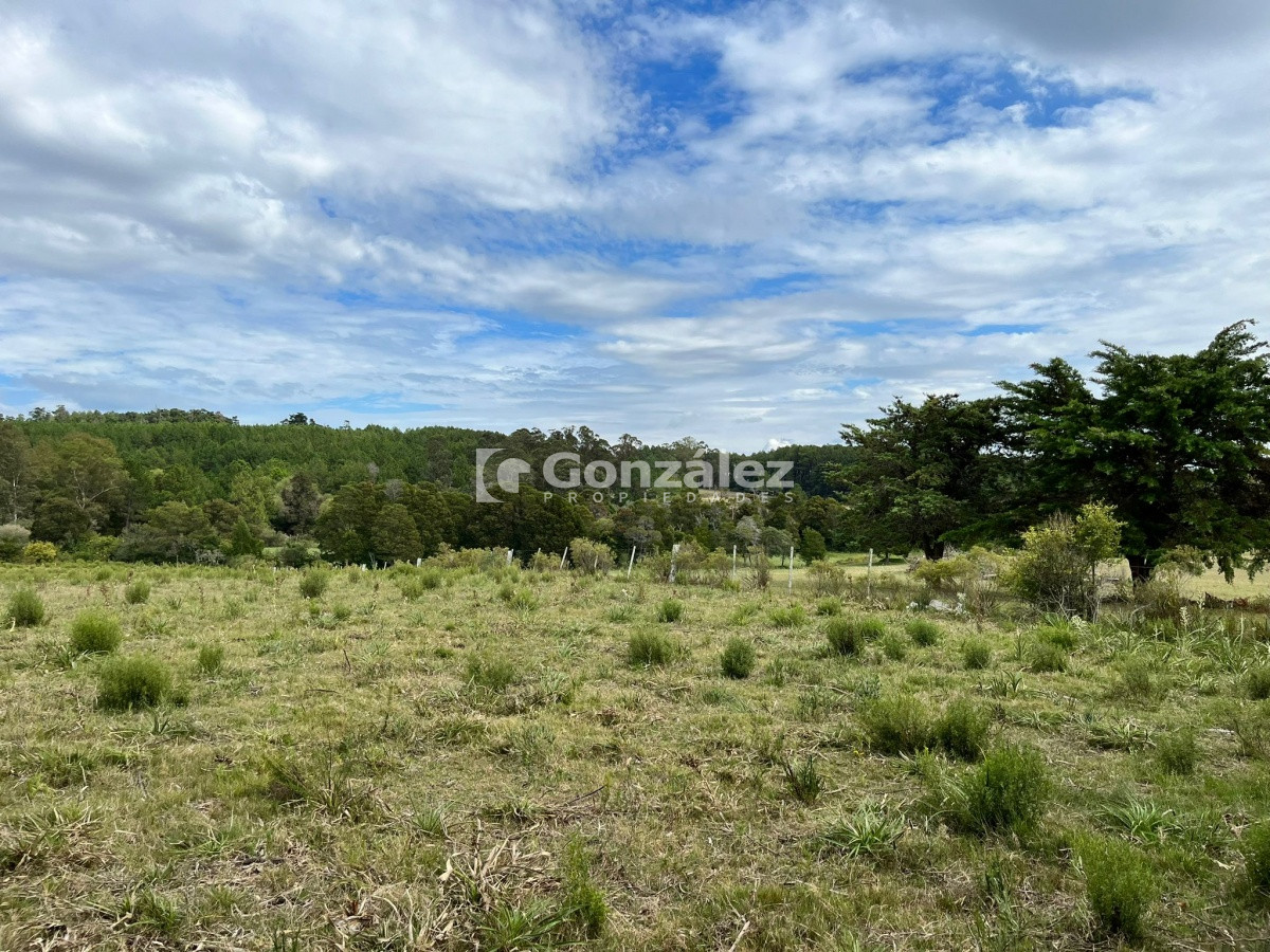 Zona Rural - GoPunta - Portal Inmobiliario de Punta del Este - Maldonado