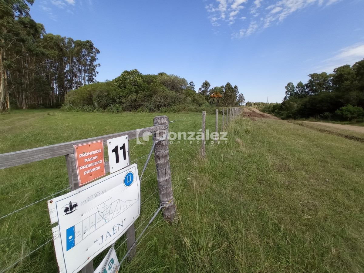 Cerros Azules - GoPunta - Portal Inmobiliario de Punta del Este - Maldonado