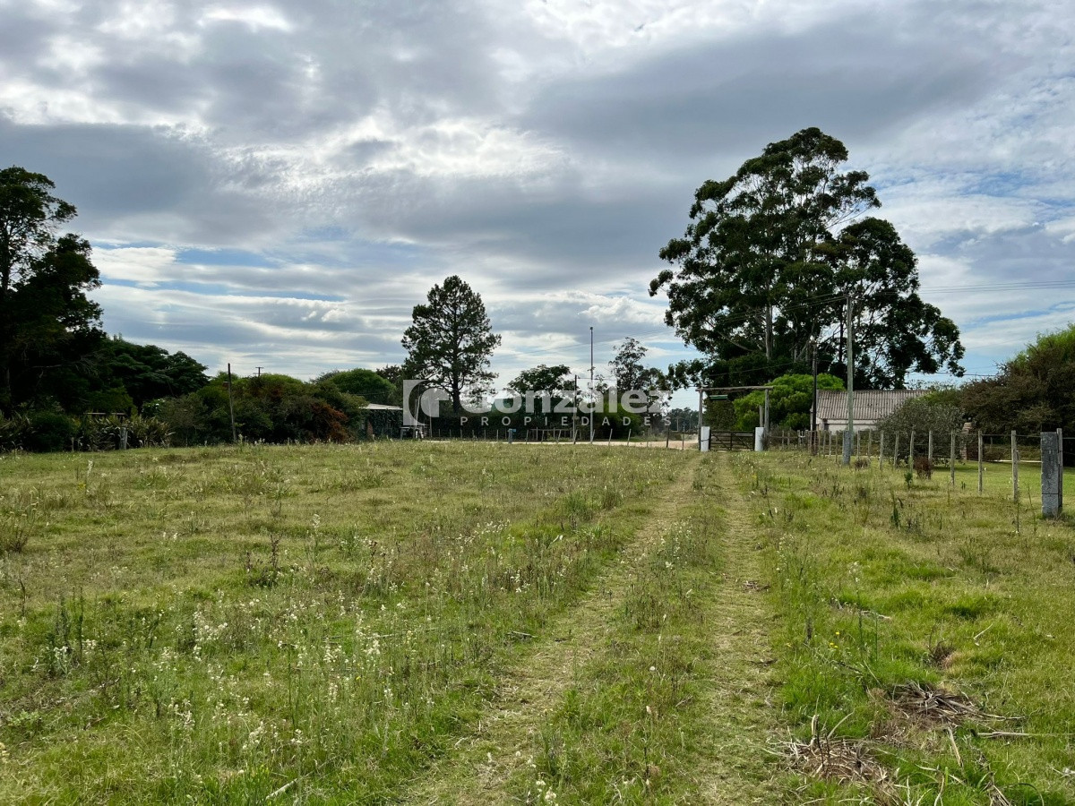 Zona Rural - GoPunta - Portal Inmobiliario de Punta del Este - Maldonado