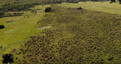 CAMPO IDEAL PARA INVERSIÓN TURÍSTICA