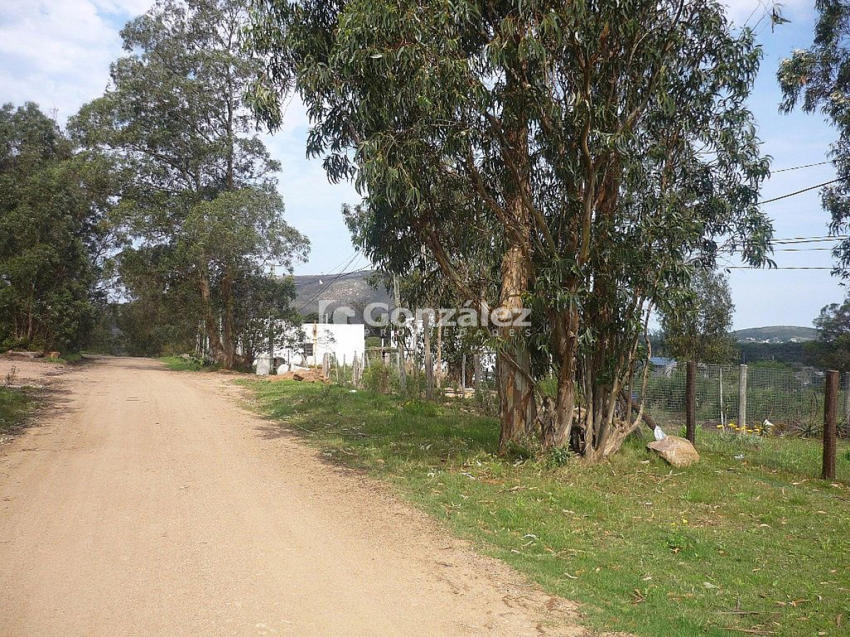 Pueblo Obrero - GoPunta - Portal Inmobiliario de Punta del Este - Maldonado