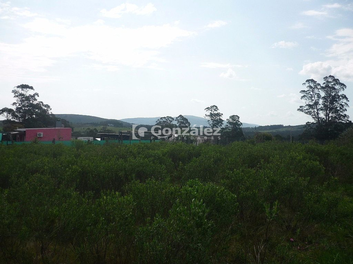 Pueblo Obrero - GoPunta - Portal Inmobiliario de Punta del Este - Maldonado