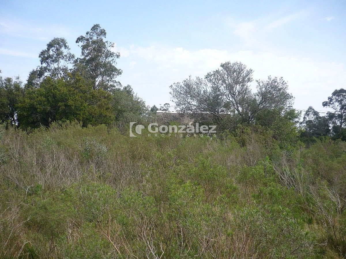 Pueblo Obrero - GoPunta - Portal Inmobiliario de Punta del Este - Maldonado