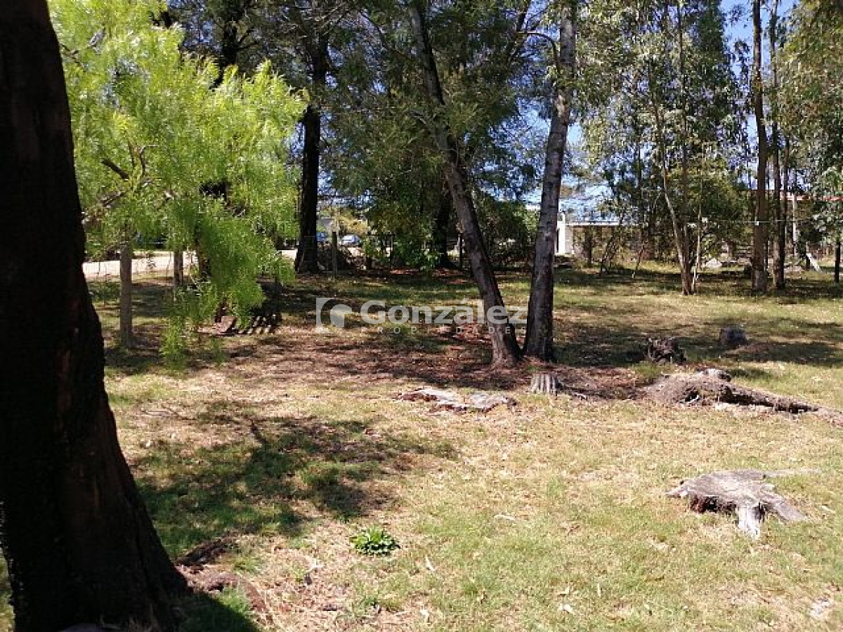 Playa Hermosa - GoPunta - Portal Inmobiliario de Punta del Este - Maldonado