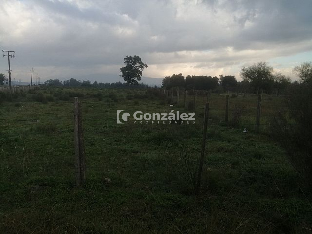 Pan de Azucar - GoPunta - Portal Inmobiliario de Punta del Este - Maldonado