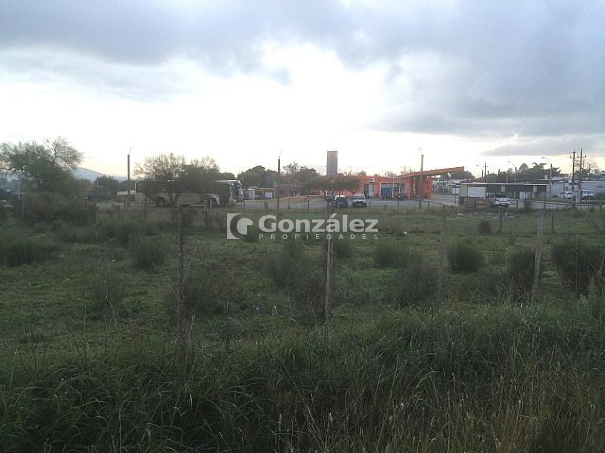 Pan de Azucar - GoPunta - Portal Inmobiliario de Punta del Este - Maldonado
