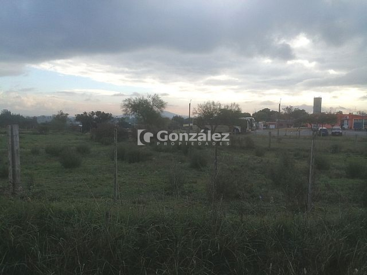 Pan de Azucar - GoPunta - Portal Inmobiliario de Punta del Este - Maldonado