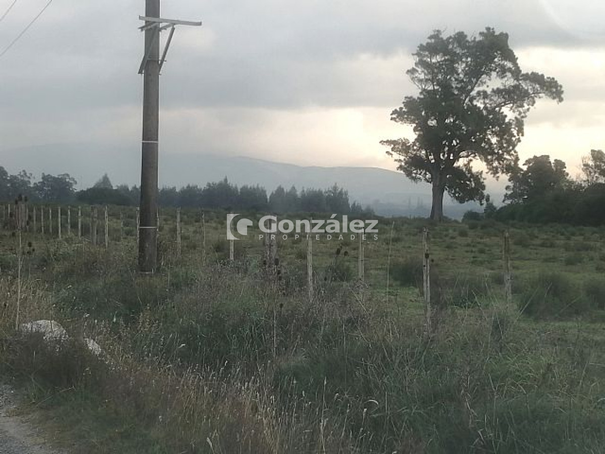 Pan de Azucar - GoPunta - Portal Inmobiliario de Punta del Este - Maldonado