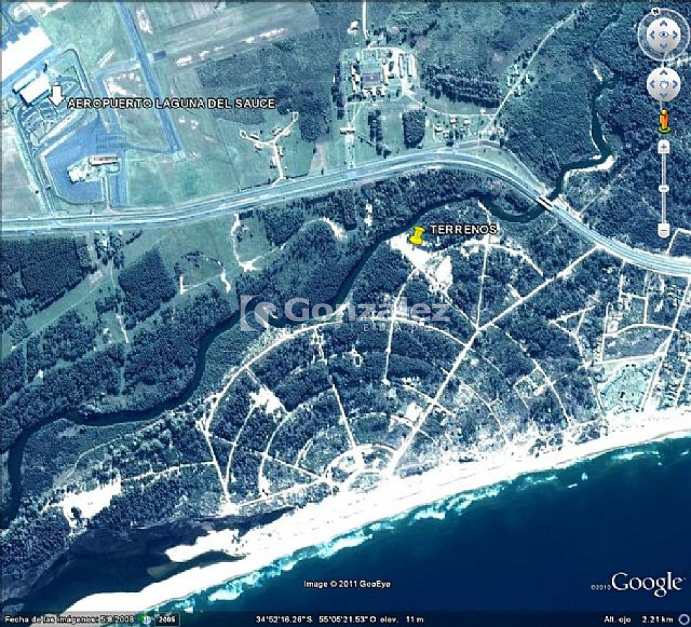 Chihuahua - GoPunta - Portal Inmobiliario de Punta del Este - Maldonado