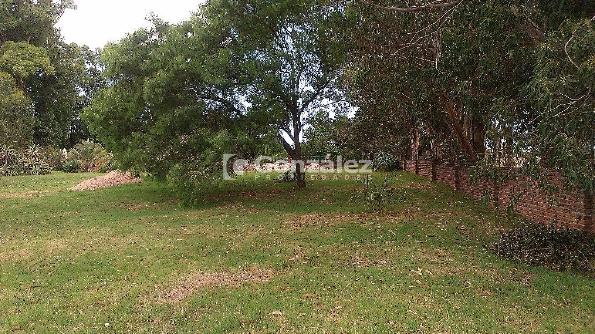Playa Verde - GoPunta - Portal Inmobiliario de Punta del Este - Maldonado