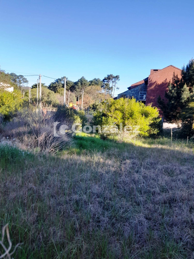 Terreno en Barrio Country - GoPunta - Portal Inmobiliario de Punta del Este - Maldonado