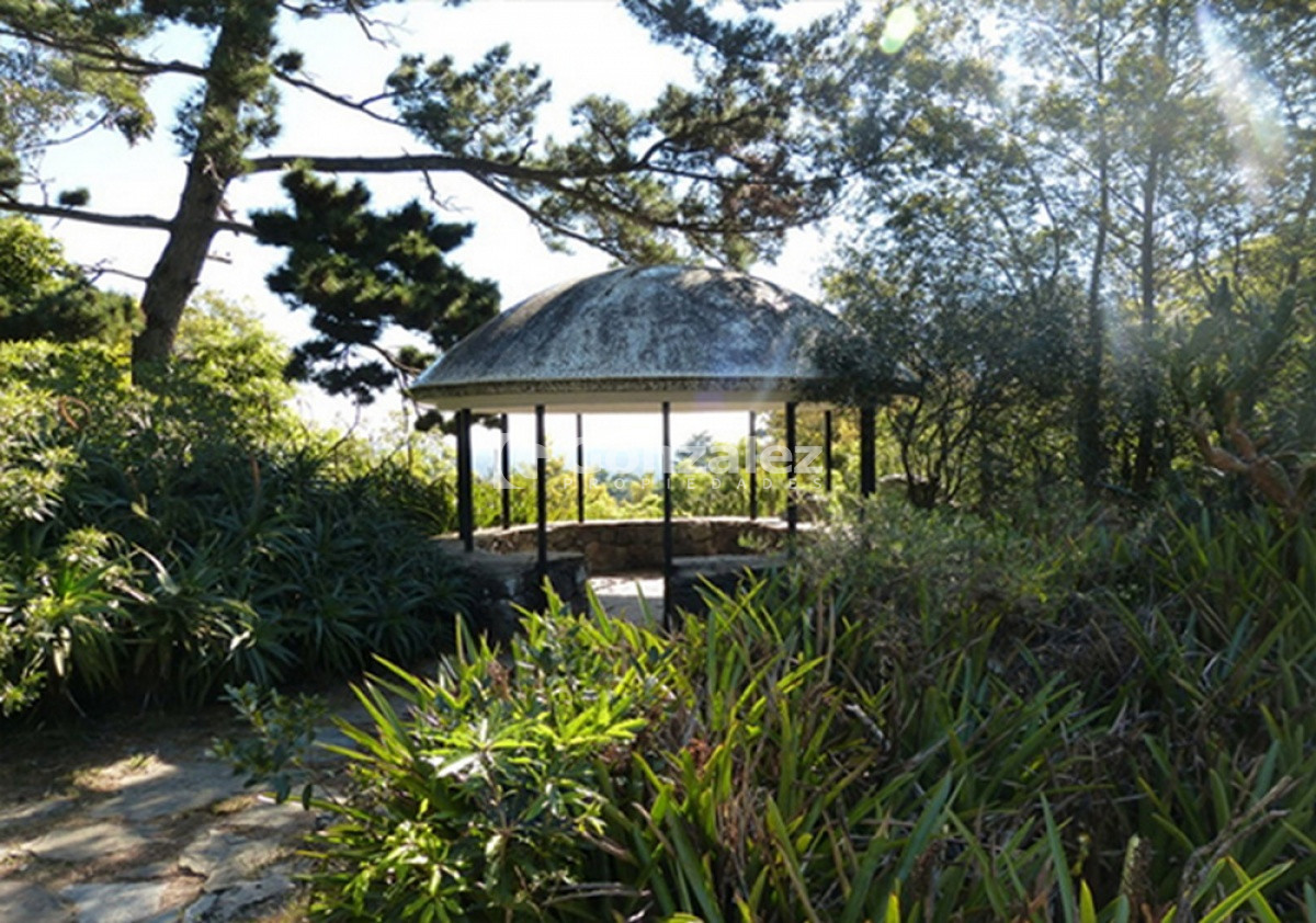Punta Ballena - GoPunta - Portal Inmobiliario de Punta del Este - Maldonado