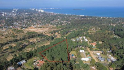 PARQUE BURNETT. Gran terreno para desarrollo inmobiliario.