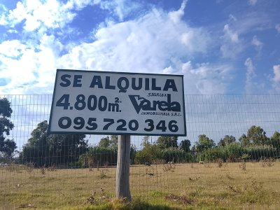 Alquiler terreno Interbalnearia de 4800 m2