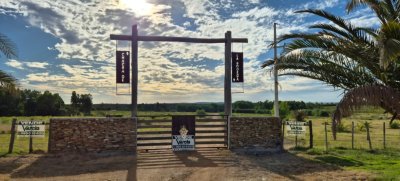 Chacras de la Bodega, sobre la Ruta 80 km.73