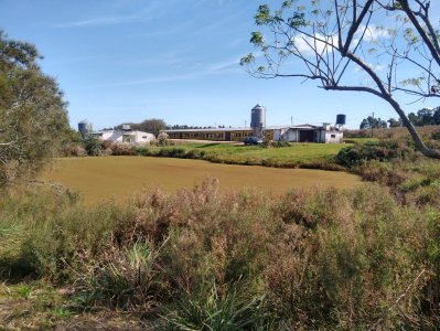 Venta Granja Avícola de 5,6 Has sobre ruta 11 