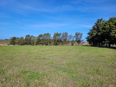 Chacra a la venta en Atlantida
