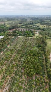 Venta Chacras 100% financiadas en Toledo