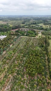 Venta Chacra 100% financiada Toledo 3 hectáreas 