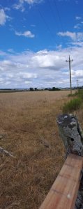 Venta de Campo, próximo a Ruta 9, Maldonado, km.82, de 5 has.próximas a los Dos Puentes