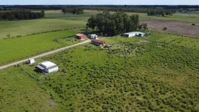 Venta Chacra 10 has Sauce 2 Casas Queseria 2 Galpones